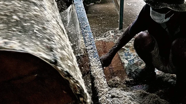 Melihat Pengelolaan Sampah Plastik di Rumah Plastik Mandiri