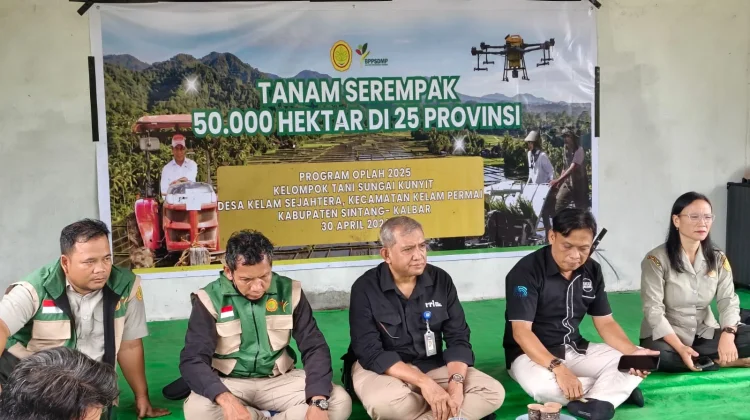 Penanaman Padi 50 Hektar Serempak 25 Provinsi di Indonesia