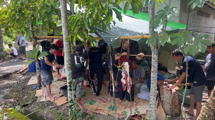 Penyembelihan Hewan Kurban Bangkitkan Semangat Gotong Royong