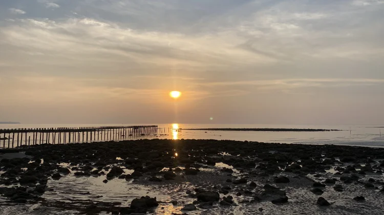 Pesona Senja di Ekor Borneo