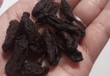Asam Kandis, Buah Asam yang Memiliki Kandungan Nutrisi dan Kaya Akan Manfaat.