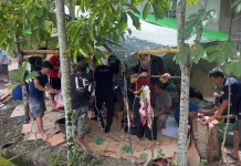 Penyembelihan Hewan Kurban Bangkitkan Semangat Gotong Royong
