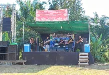 Musik Sape Meriahkan Pembukaan Gawai Dayak ke-VIII Desa Binjai Hulu