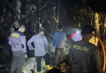 Kapolres Sintang dan Tim Berjibaku Padamkan Karhutla di Rawa Mambok