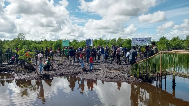 Gubernur Elisa Kambu Tanam Bibit Mangrove