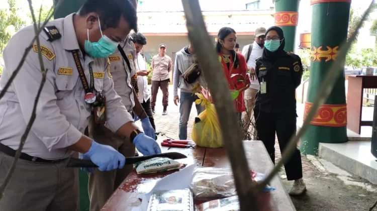 Balai Karantina Hewan, Ikan dan Tumbuhan Laksanakan Pemusnahan Pembawa HPHK