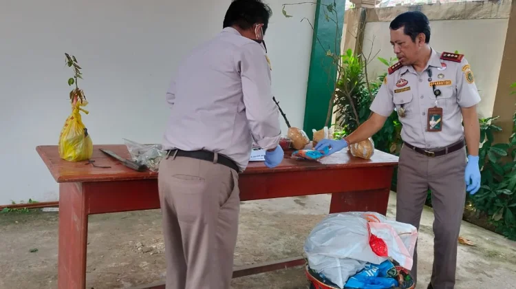 Balai Karantina Hewan, Ikan dan Tumbuhan Laksanakan Pemusnahan Pembawa HPHK