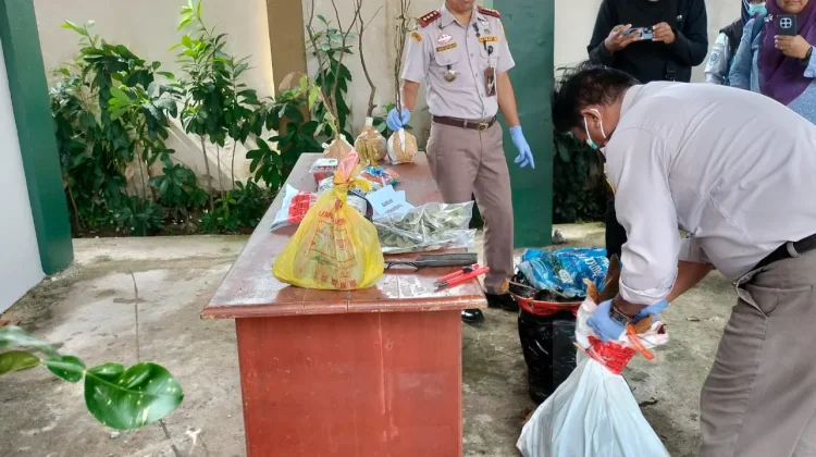 Balai Karantina Hewan, Ikan dan Tumbuhan Laksanakan Pemusnahan Pembawa HPHK