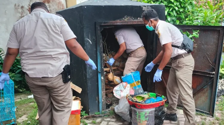 Balai Karantina Hewan, Ikan dan Tumbuhan Laksanakan Pemusnahan Pembawa HPHK