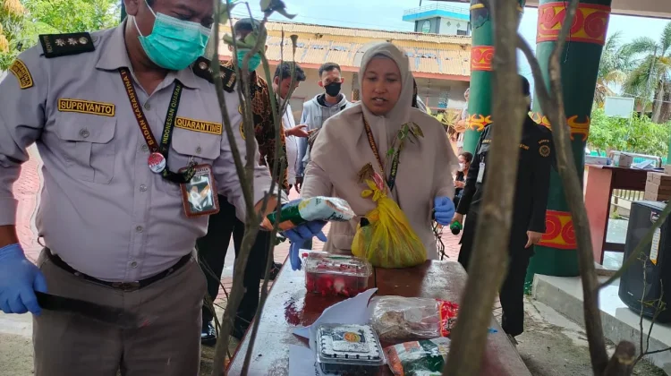 Balai Karantina Hewan, Ikan dan Tumbuhan Laksanakan Pemusnahan Pembawa HPHK