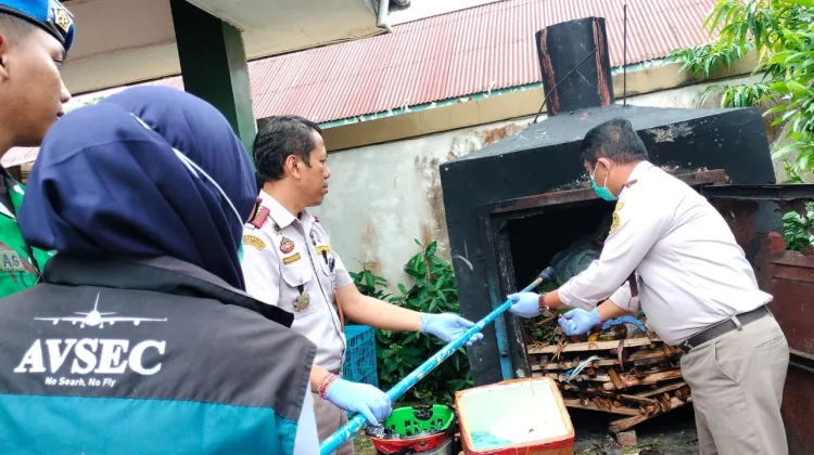 Balai Karantina Hewan, Ikan dan Tumbuhan Laksanakan Pemusnahan Pembawa HPHK
