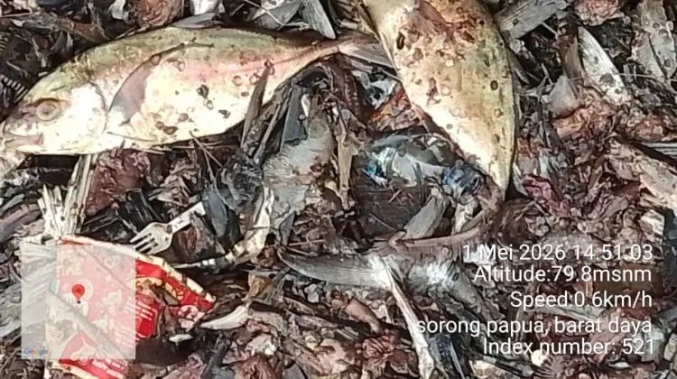 Kepala DLH PBD Tinjau Dugaan Limbah Pasar Jembatan Puri