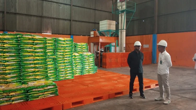 DPR RI cek Stok Beras dan Minyak Goreng Bulog di Sorong