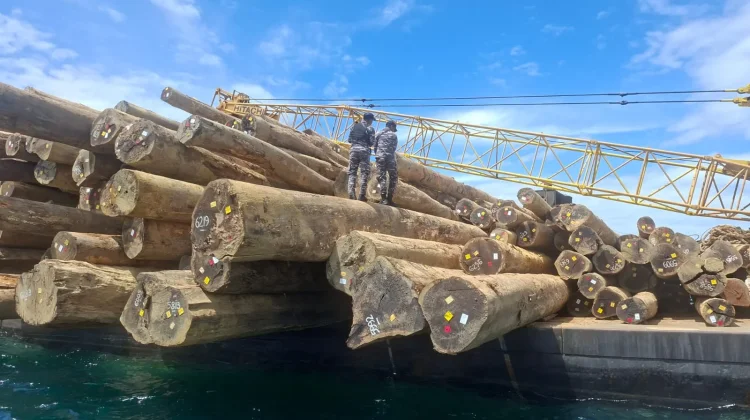 Koarmada III Berhasil Gagalkan Dugaan Pelanggaran Pengangkutan Kayu Log
