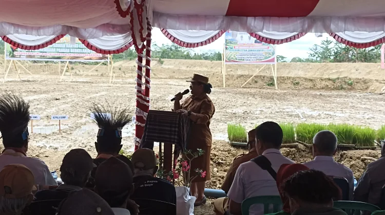 Tanam Padi Perdana di Lahan Cetak Sawah Rakyat Sorong Selatan