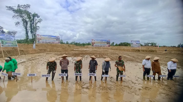 Tanam Padi Perdana di Lahan Cetak Sawah Rakyat Sorong Selatan