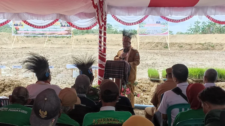 Tanam Padi Perdana di Lahan Cetak Sawah Rakyat Sorong Selatan