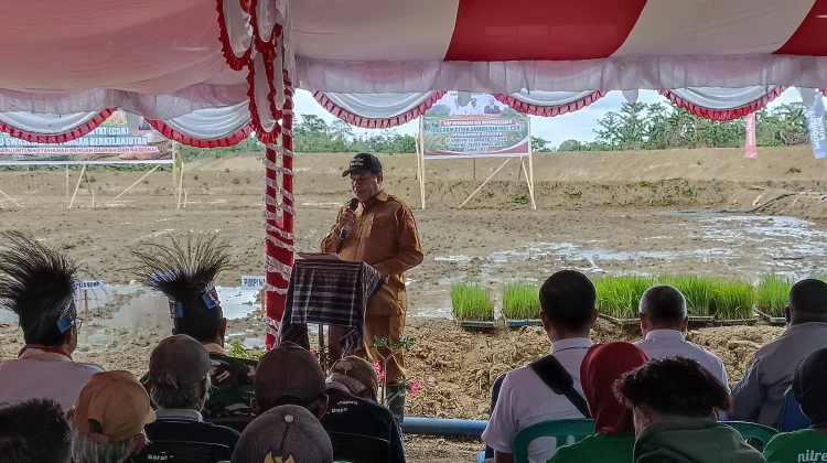 Tanam Padi Perdana di Lahan Cetak Sawah Rakyat Sorong Selatan