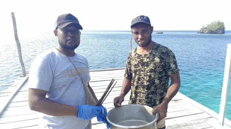 Polisi Selidiki Dugaan Perburuan Penyu Sisik oleh WNA Tiongkok di Raja Ampat