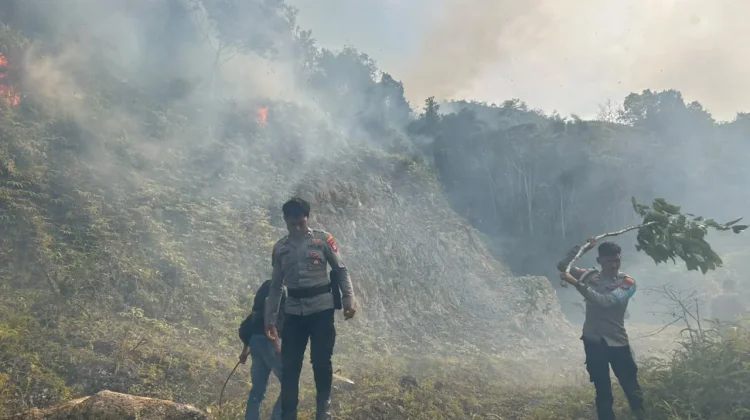 Polres Tambrauw Padamkan Kebakaran Lahan di Sekitar Kediaman Wakil Bupati