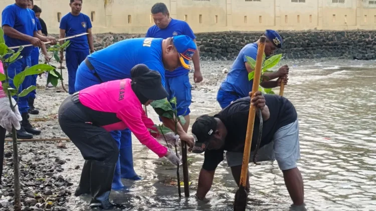 Ditpolairud Polda PBD Bersama Warga Tanam Mangrove dan Aksi Bersih Pantai