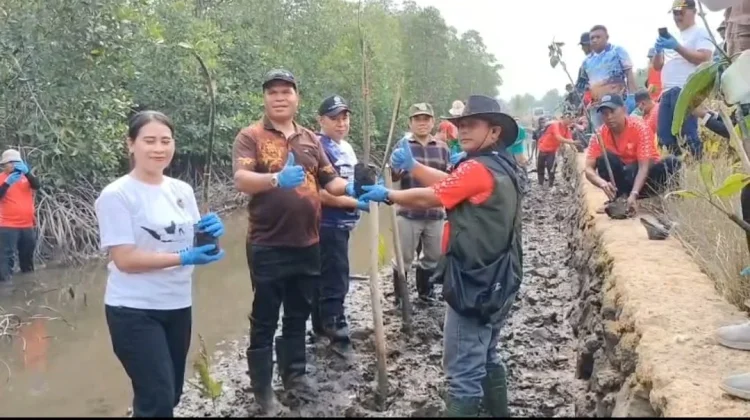 BKHIT Papua Barat Daya Melaksanakan Penanaman 200 Bibit Mangrove