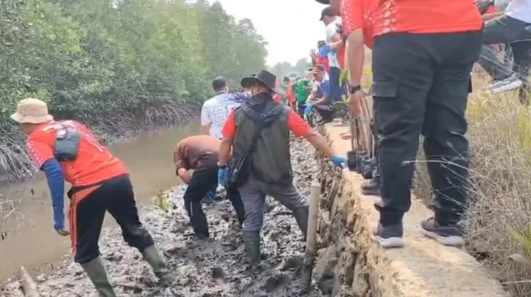 BKHIT Papua Barat Daya Melaksanakan Penanaman 200 Bibit Mangrove