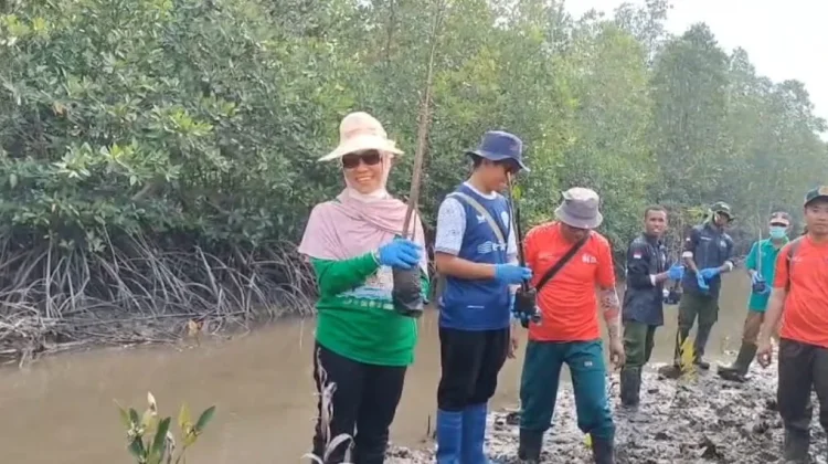 BKHIT Papua Barat Daya Melaksanakan Penanaman 200 Bibit Mangrove