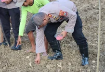 Polres Sorong Selatan Tanam Jagung Serentak Tahun 2026