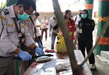 Balai Karantina Hewan, Ikan dan Tumbuhan Laksanakan Pemusnahan Pembawa HPHK