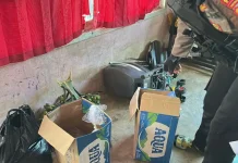Patroli Perintis Presisi Direktorat Samapta Polda PBD Berhasil Ungkap Peredaran