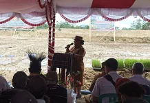 Tanam Padi Perdana di Lahan Cetak Sawah Rakyat Sorong Selatan