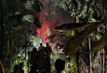 Personel Polres Sorong Selatan Tangani Kebakaran Lahan