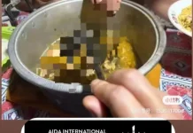 Polisi Selidiki Dugaan Perburuan Penyu Sisik oleh WNA Tiongkok di Raja Ampat