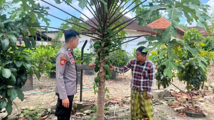Polisi Dampingi Program Pekarangan Pangan Bergizi