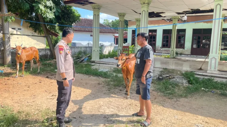 Polsek Batuputih Cek Peternakan Sapi Warga