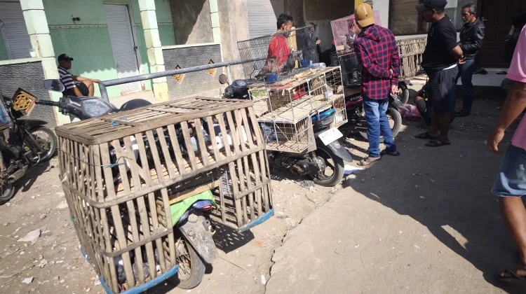 Pasar Hewan Lenteng Ramai Setiap Minggu Pagi
