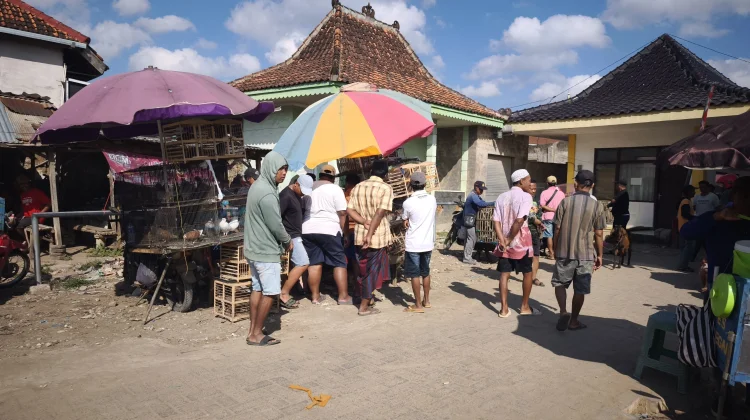 Pasar Hewan Lenteng Ramai Setiap Minggu Pagi