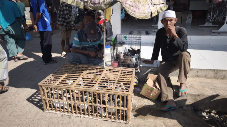 Pasar Hewan Lenteng Ramai Setiap Minggu Pagi
