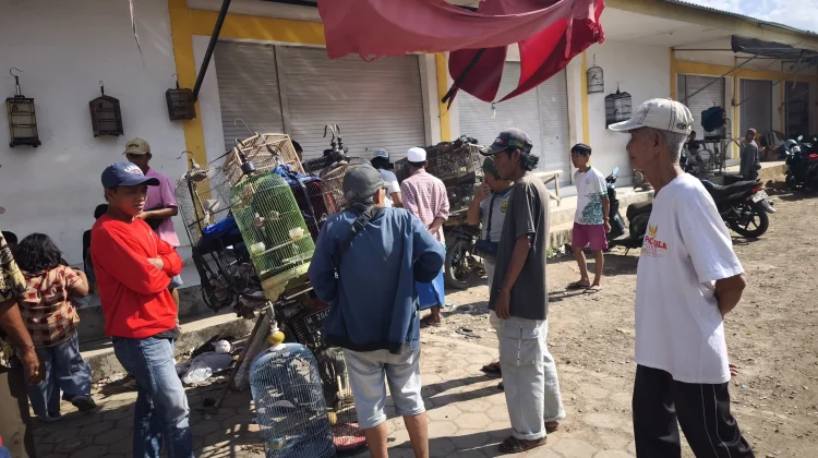 Pasar Hewan Lenteng Ramai Setiap Minggu Pagi