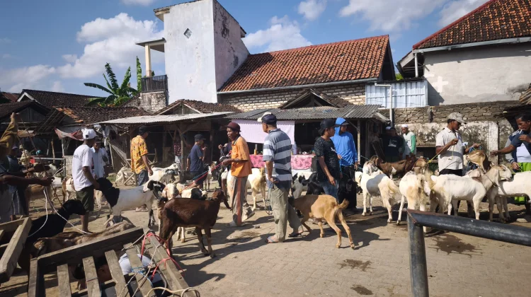 Pasar Hewan Lenteng Ramai Setiap Minggu Pagi