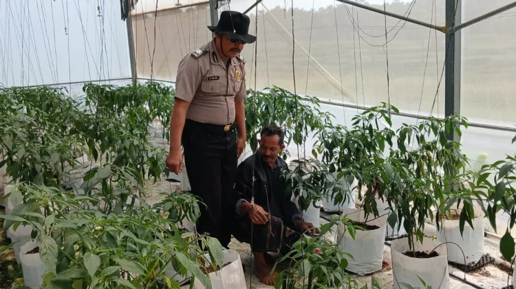 Ketahanan Pangan Jadi Fokus Polsek Batuputih