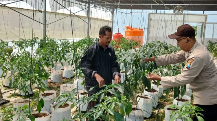 Ketahanan Pangan Jadi Fokus Polsek Batuputih