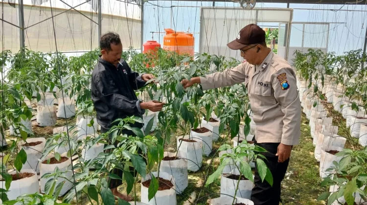 Ketahanan Pangan Jadi Fokus Polsek Batuputih