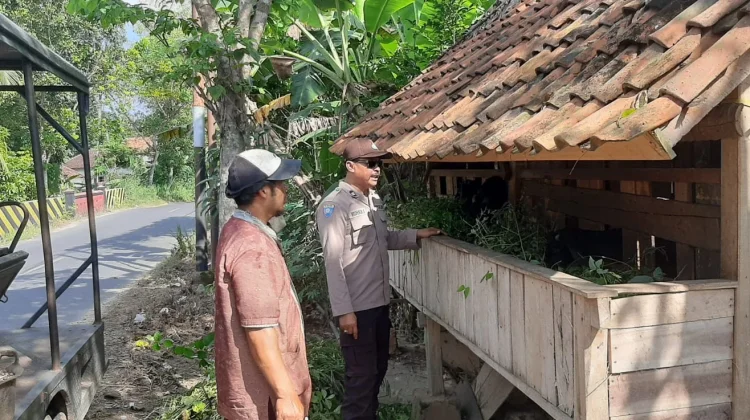 Polsek Batuputih Dukung Ketahanan Pangan lewat Peternakan