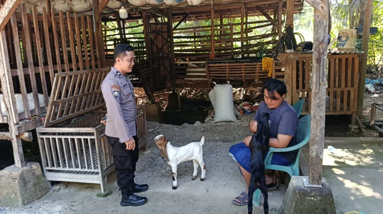 Bhabinkamtibmas Polsek Prenduan Monitoring Peternakan Kambing Warga