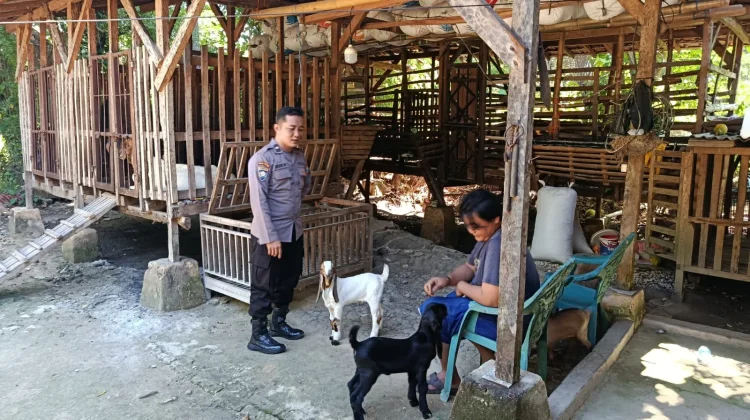 Bhabinkamtibmas Polsek Prenduan Monitoring Peternakan Kambing Warga