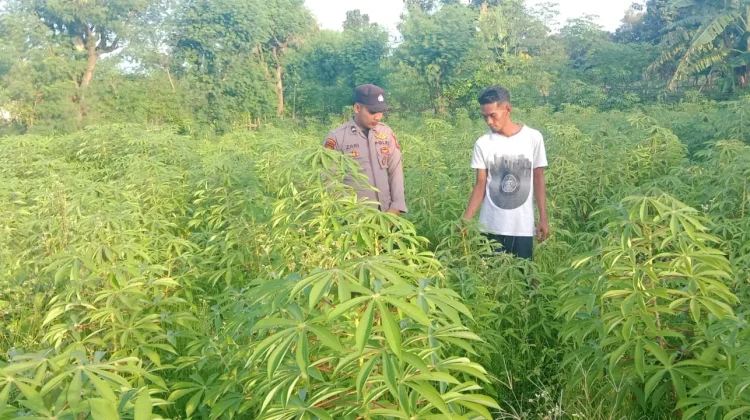 Polri Ajak Warga Optimalkan Pekarangan Produktif