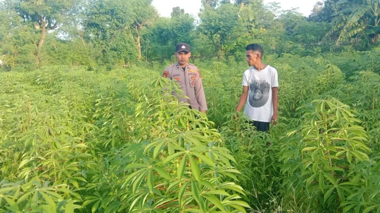 Polri Ajak Warga Optimalkan Pekarangan Produktif