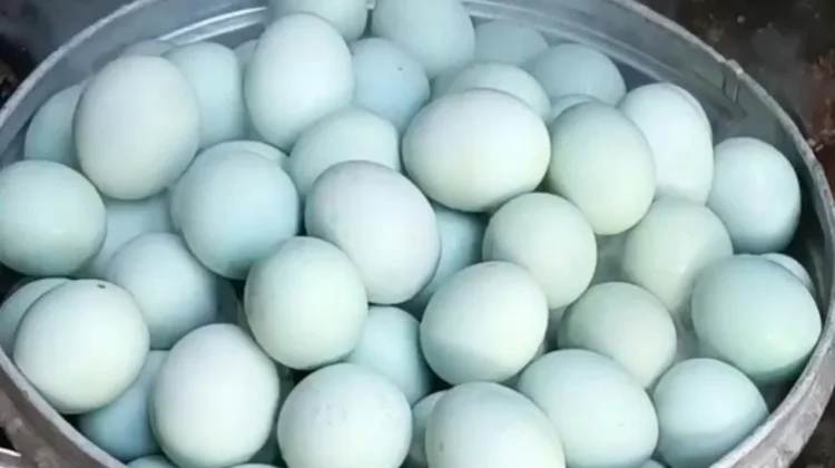 Telur Asin Masir Sumenep Diminati Luar Daerah